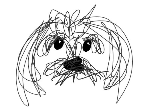 Knottydoodles Co. 
